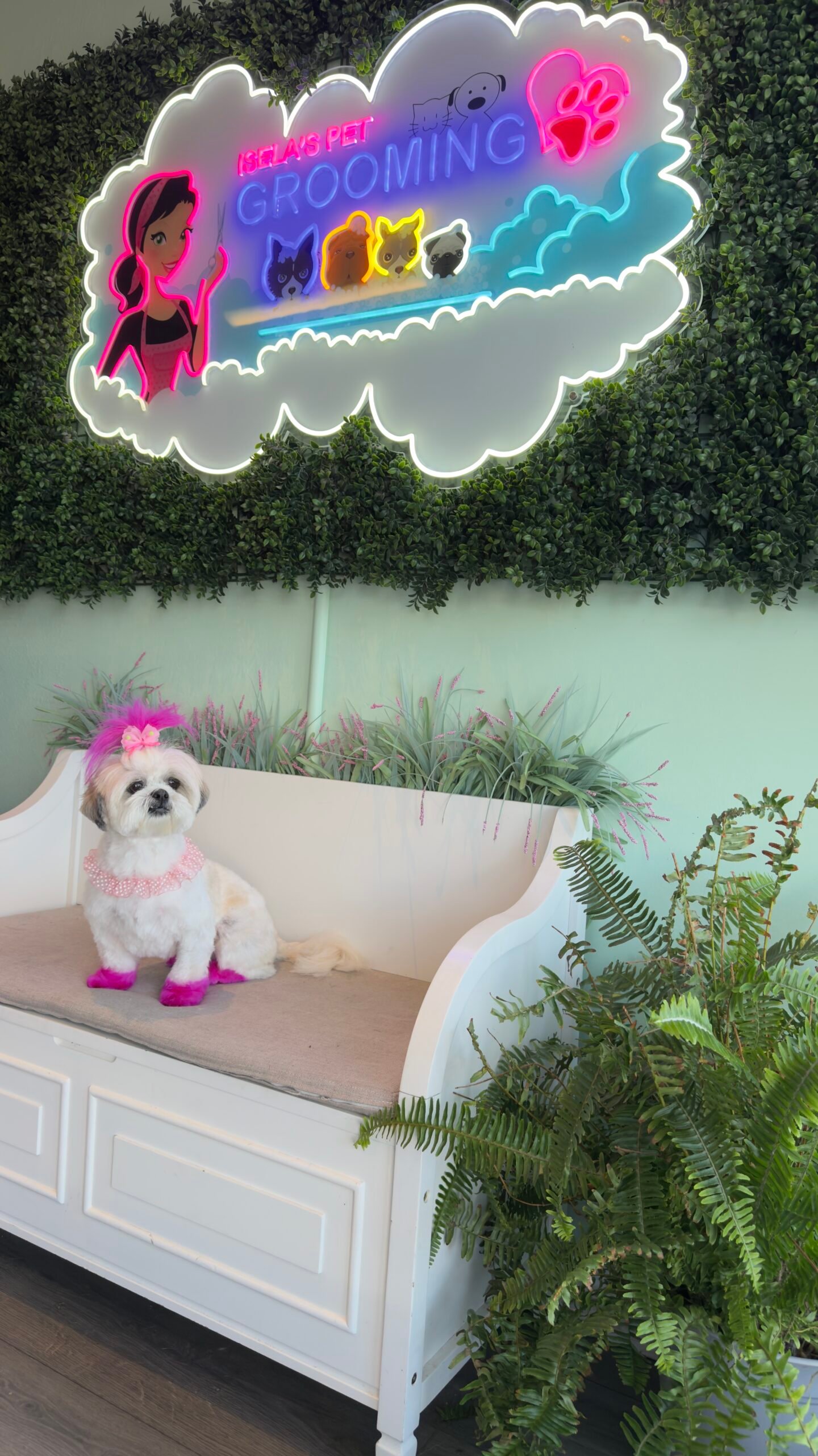 Isela's Pet Grooming, business photo 3